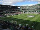 estadio-benito-villamarin.jpg