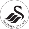 logo swansea.png