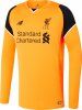 liverpool-16-17-goalkeeper-kit-1.jpg