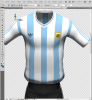 ARGENTINA PROJECT.PNG